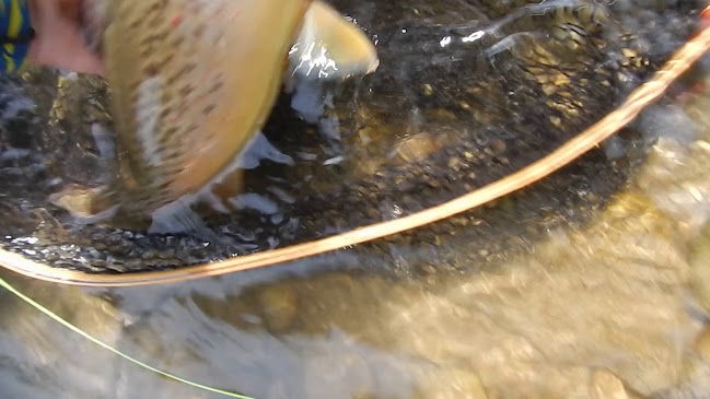 Šport center Prodnik - Ljubno ob Savinji