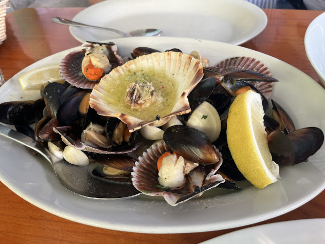 Ribja kantina Fritolin , Mirabela d.o.o. - Portorož