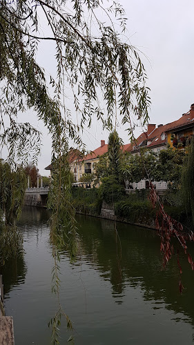 Karibi, Gostinstvo, D.O.O.