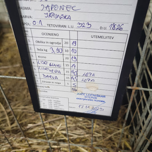 Yagababa CafeLougeBar