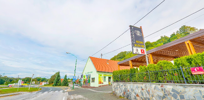 Picerija Splavar - Gastronomija in gostinstvo