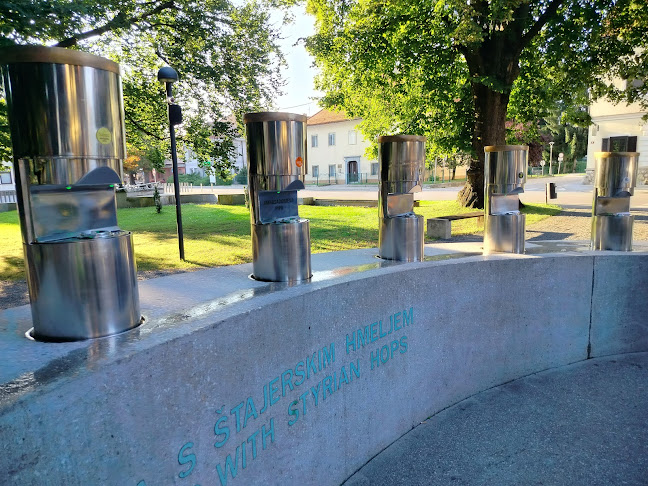 Savinjska cesta 11, 3310 Žalec