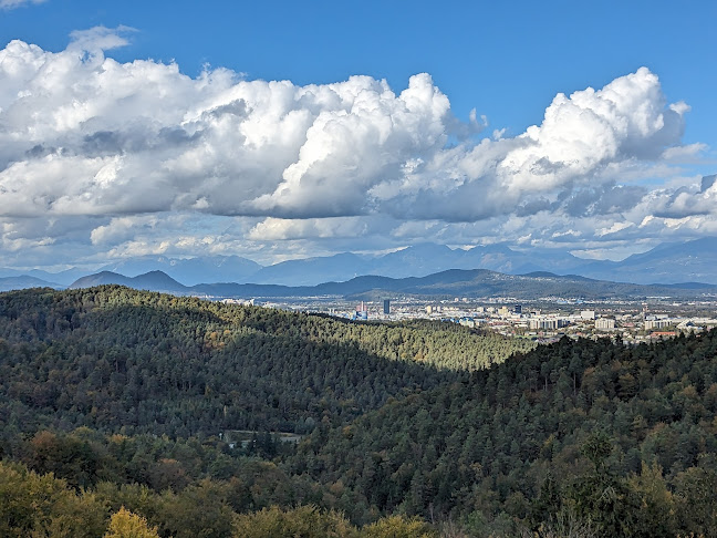 Comentarii opinii despre Gostilnica Orle