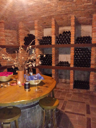 Comentarii opinii despre VINA KERIN, Hiša Frankinje