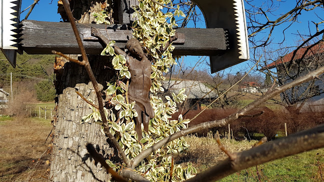 Opinii despre Ves&Rob, gostinstvo, posredništvo pri prodaji avtomobilov, d.o.o. în Slovenska Bistrica - Gastronomija in gostinstvo