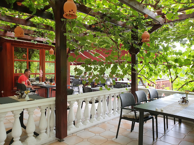 Spodnja Selnica 1, 2352 Selnica ob Dravi