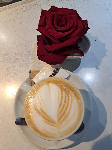 Bar Napajalnik Suzana Fink S.P.