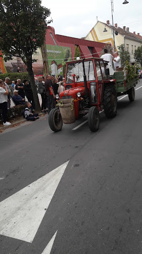 Okrepčevalnica Derviši Derviši Neđadij s.p. - Lendava