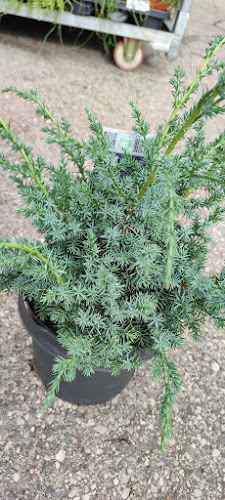 Kmetijska zadruga Trebnje z.o.o. - Trebnje