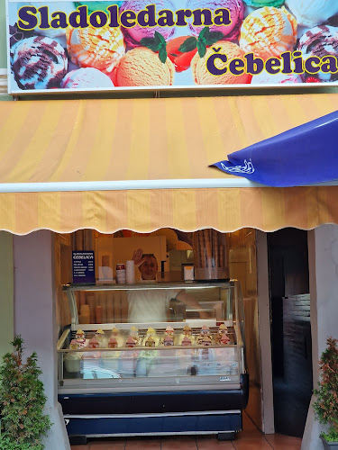 Sladoledarna Čebelica ASANI BAŠKIM s,p. - Gastronomija in gostinstvo