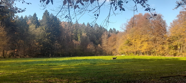 Panda bar točenje pijač Katica Novak s.p.