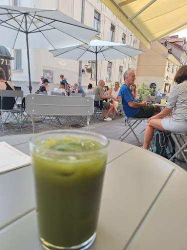 Comentarii opinii despre Ferdinand