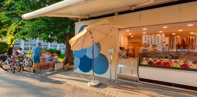 Lastovka pri SERŠ-u - Maribor