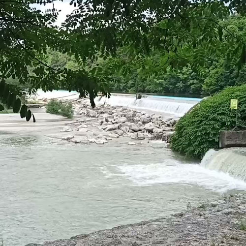 Comentarii opinii despre Bazen Bar & BBQ