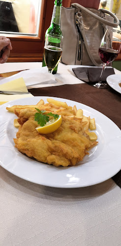 Comentarii opinii despre Mgm kontor in gostilna Marič Marjan Marič s.p.