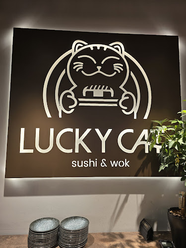 Comentarii opinii despre Lucky Cat