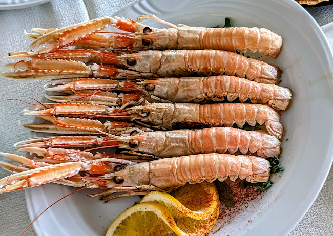 Župančičeva ulica 26, 6330 Piran