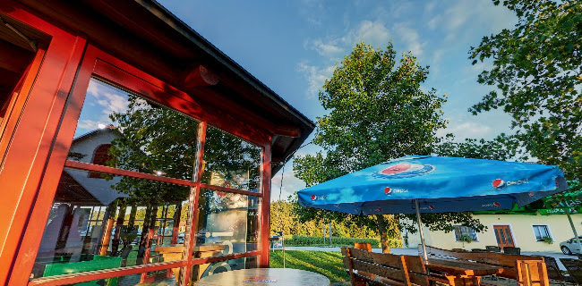 Comentarii opinii despre Gostinstvo, Pušn šank