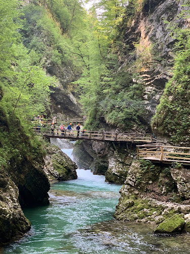Podhom 62, 4247 Zgornje Gorje