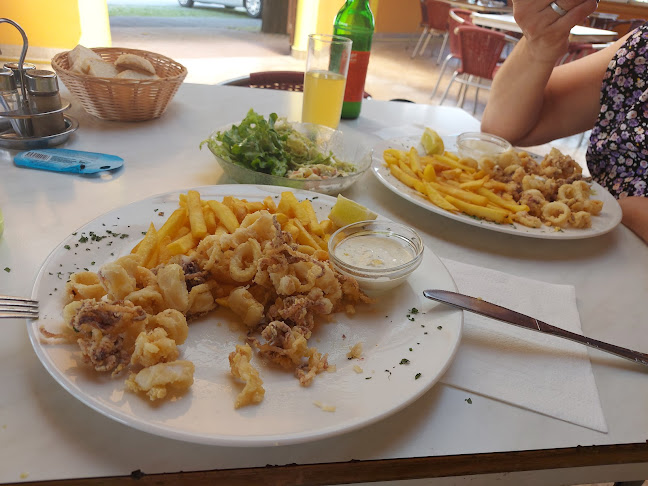 Celjska cesta 48, 2380 Slovenj Gradec