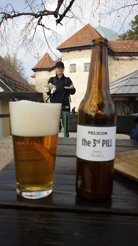 Comentarii opinii despre Gostilna Ledinek