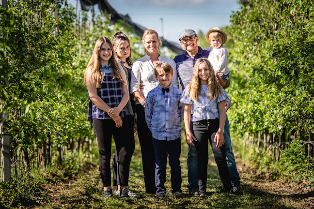 Comentarii opinii despre Bio Dan, proizvodnja Sadnih sokov d.o.o., Stročja vas 46, Ljutomer