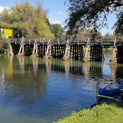 Comentarii opinii despre Štraus