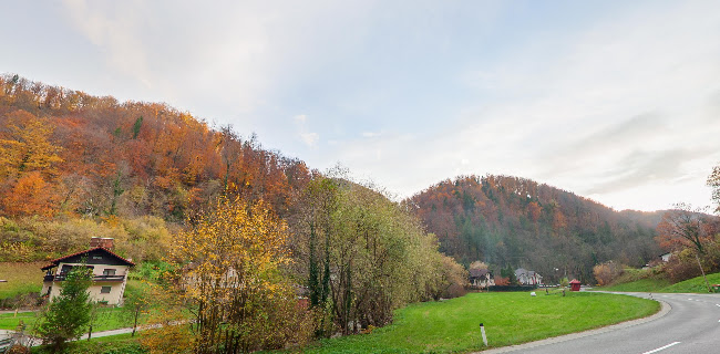 Opinii despre Vračevič Matej s.p. pizzerija čebelica în Izlake - Gastronomija in gostinstvo