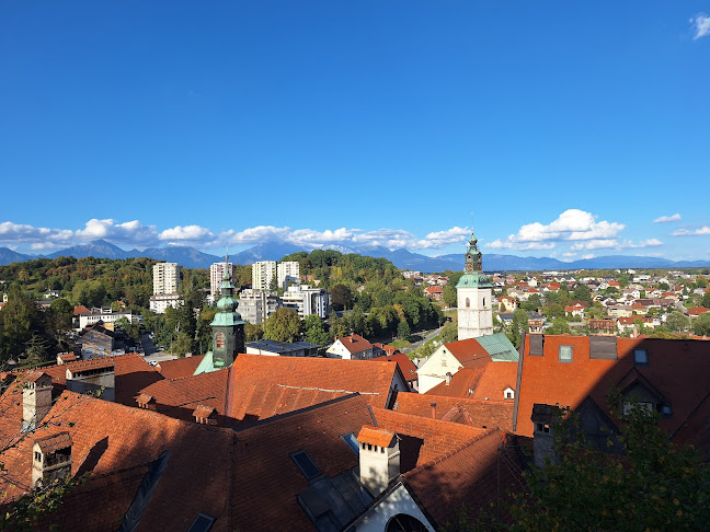 Ribarnica in restavracija Delfin - Kranj