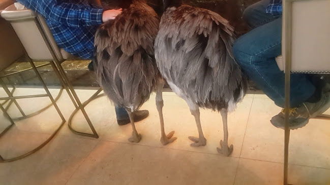 Hotel, Slovenska cesta 34, 1000 Ljubljana