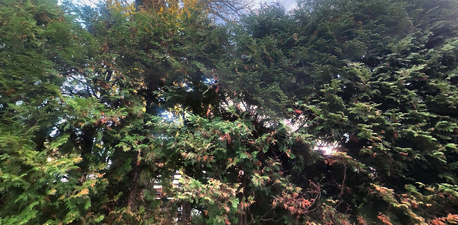 Gostilna Hren, d.o.o.