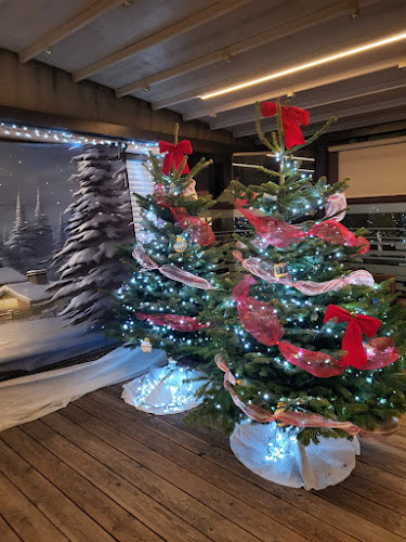 Comentarii opinii despre Kavarna Cappuccino