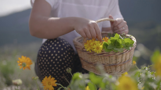 Gorenjska cesta 9, 4240 Radovljica