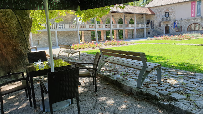 Opinii despre Grajska kavarna in slaščičarna, Villa de casa în Ribnica - Gastronomija in gostinstvo