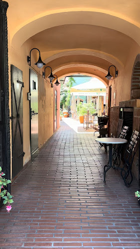 Toto Cafe Bar, Mojca Furman S.P.