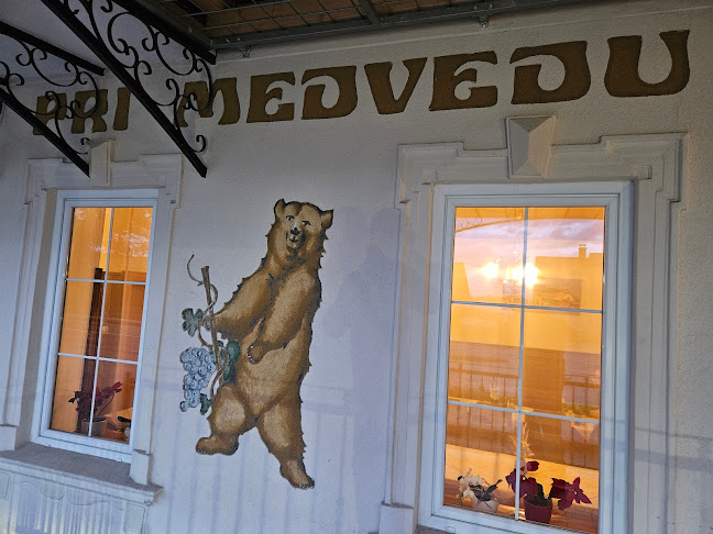 Comentarii opinii despre Gostilna Medved