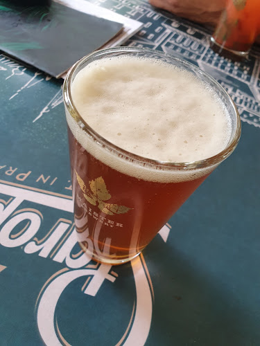 Comentarii opinii despre Projekt Burger