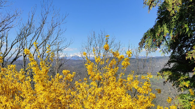 Sveta Gora 1, 5250 Solkan