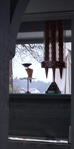 Opinii despre Saša bar, Saša Markoja s.p. în Logatec - Gastronomija in gostinstvo