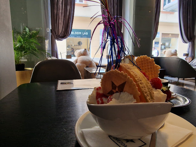 Comentarii opinii despre Kavarna Zvezda, Hotel Slon