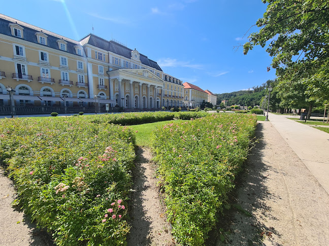 Comentarii opinii despre Restavracija Kaiser