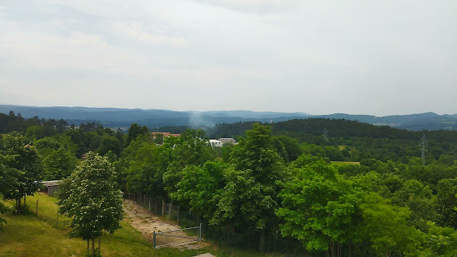 Opinii despre Gostilna in pizzeria Herman s prenočišči în Pivka - Gastronomija in gostinstvo