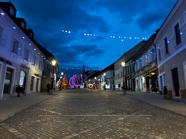 Comentarii opinii despre Klub Vida Ingrid Hodnik s.p.