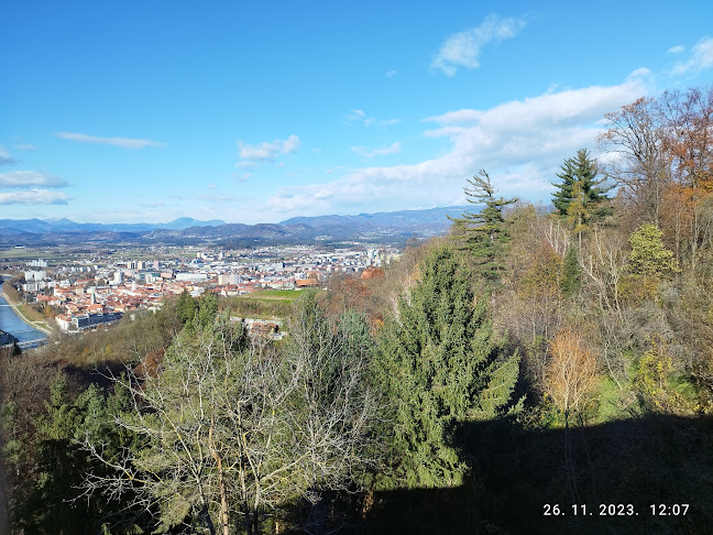 Comentarii opinii despre Gostilna pri Kmetec