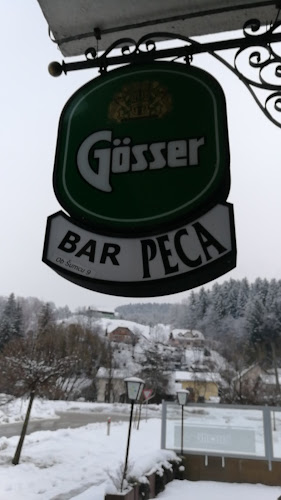 Ob šumcu 9, 2392 Mežica