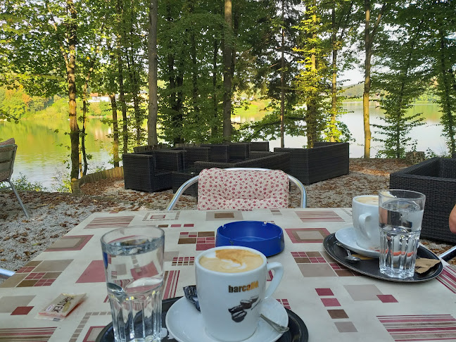 Brkati som - Šmartno v Rožni dolini