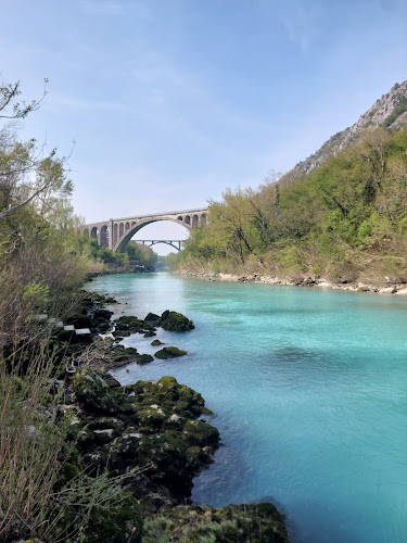 Comentarii opinii despre Ošterija Žogica