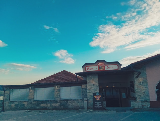 Comentarii opinii despre Pizzeria Agata