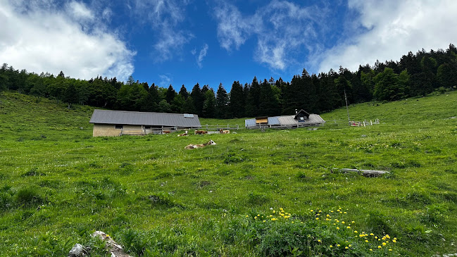 Lešanska planina - Dobrča