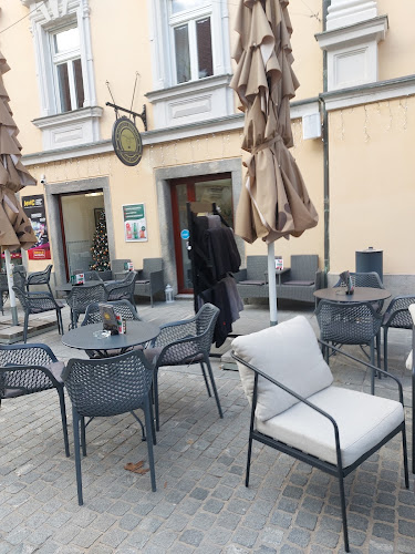 Stanetova ulica 3, 3000 Celje